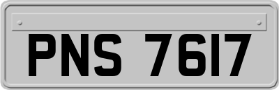 PNS7617
