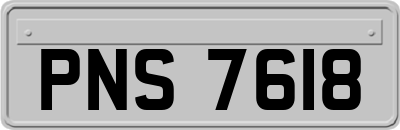 PNS7618