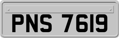 PNS7619