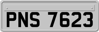 PNS7623