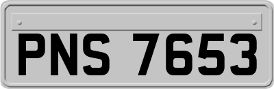 PNS7653