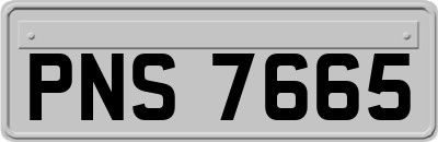 PNS7665
