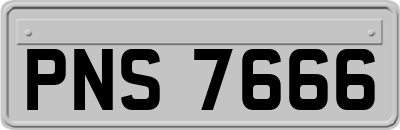PNS7666