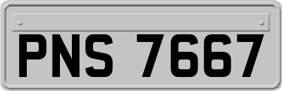 PNS7667