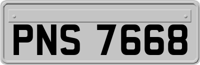 PNS7668