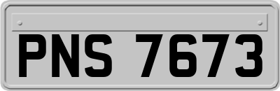 PNS7673
