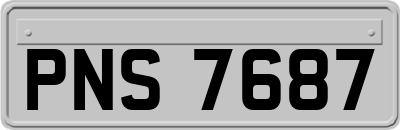 PNS7687