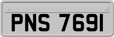 PNS7691