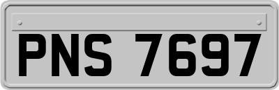 PNS7697