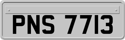 PNS7713