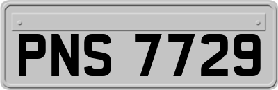 PNS7729