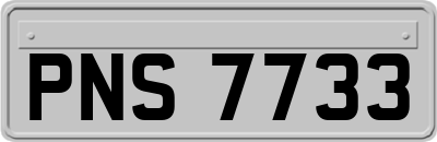 PNS7733