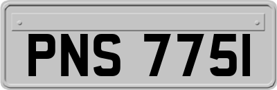 PNS7751