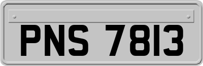 PNS7813