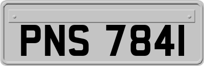 PNS7841