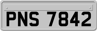 PNS7842