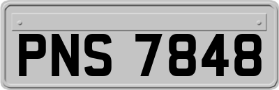 PNS7848