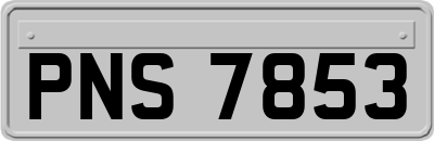 PNS7853
