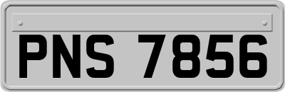 PNS7856