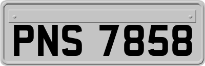 PNS7858