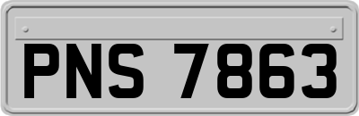 PNS7863