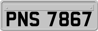PNS7867