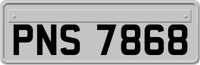 PNS7868