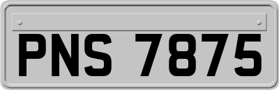 PNS7875