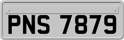 PNS7879