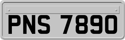 PNS7890
