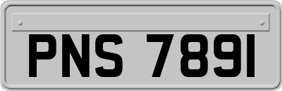 PNS7891