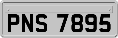 PNS7895