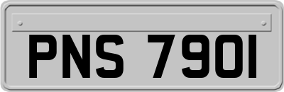 PNS7901