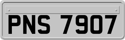 PNS7907