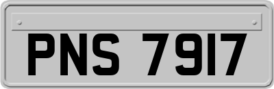 PNS7917