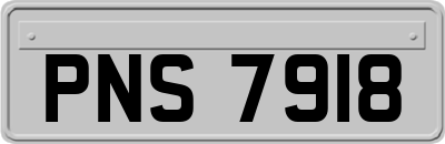 PNS7918