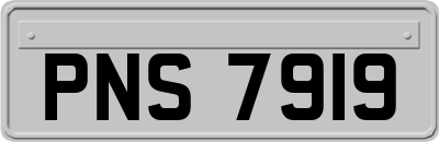 PNS7919