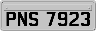 PNS7923