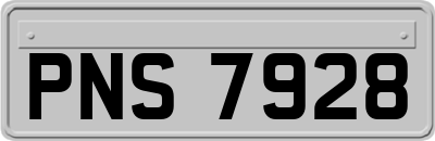 PNS7928