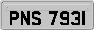 PNS7931