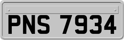 PNS7934
