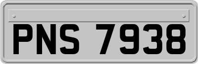 PNS7938