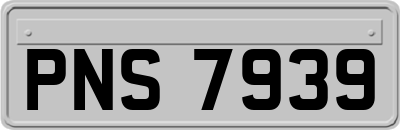 PNS7939