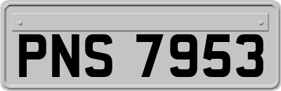 PNS7953