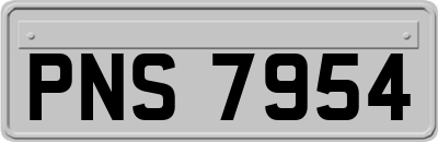 PNS7954
