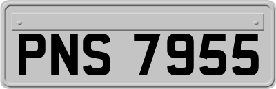 PNS7955