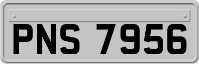 PNS7956
