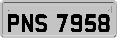 PNS7958