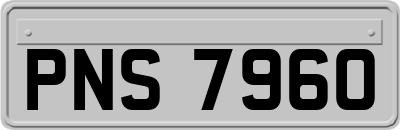 PNS7960