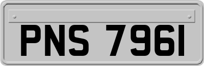 PNS7961